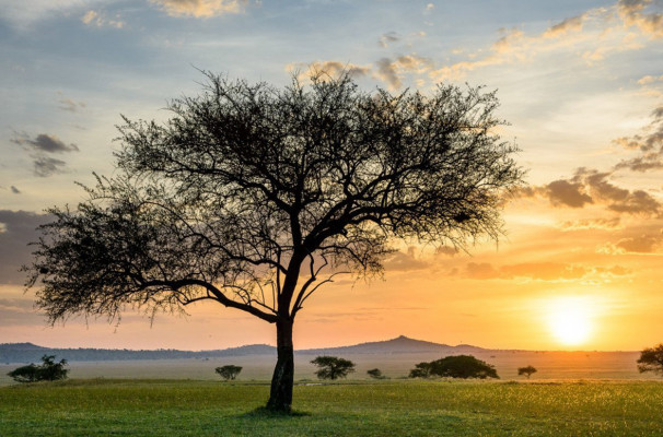 Singita Sabora Tented Camp