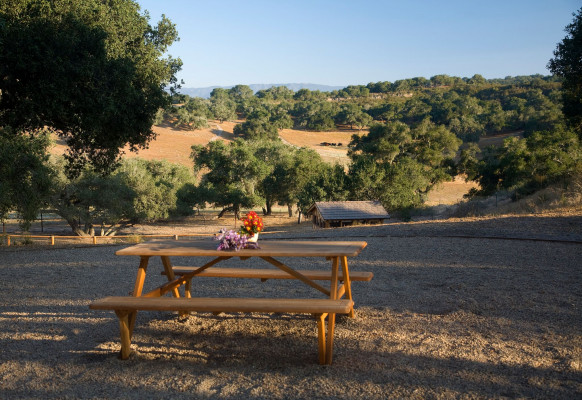 Zaca Creek Ranch