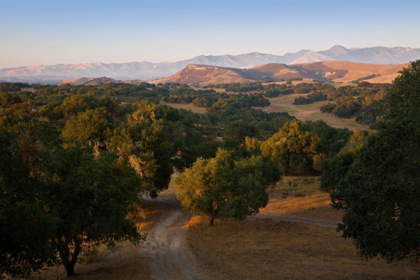 Zaca Creek Ranch