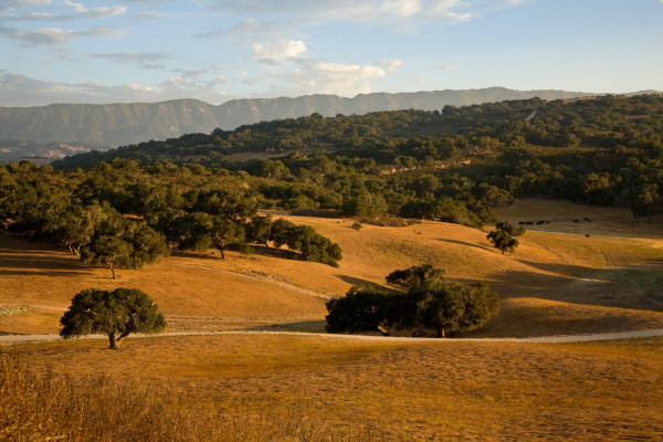 Zaca Creek Ranch