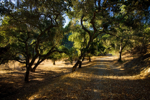 Zaca Creek Ranch