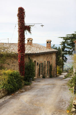 Monteverdi Tuscany