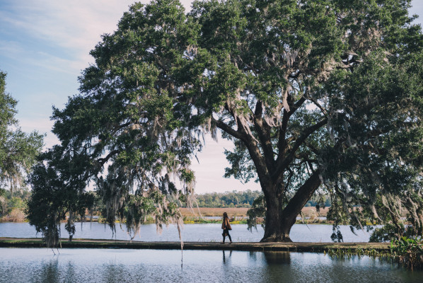 Middleton Place