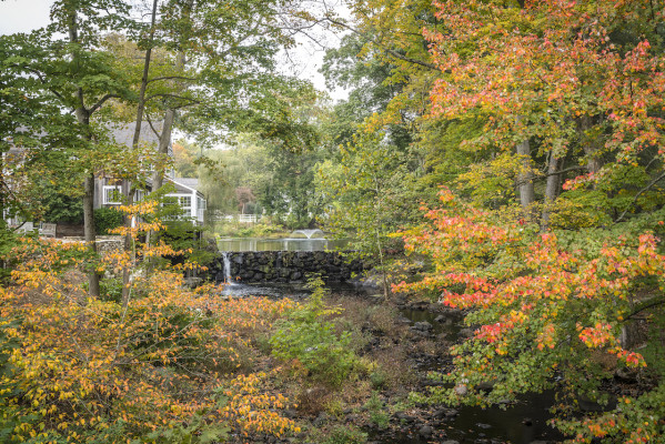 Graybarns on the Silvermine River