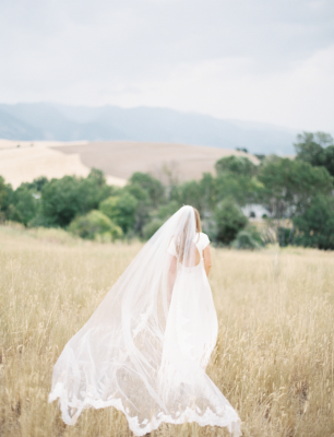 Foster Creek Farm