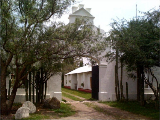 Bodega Dos Búhos