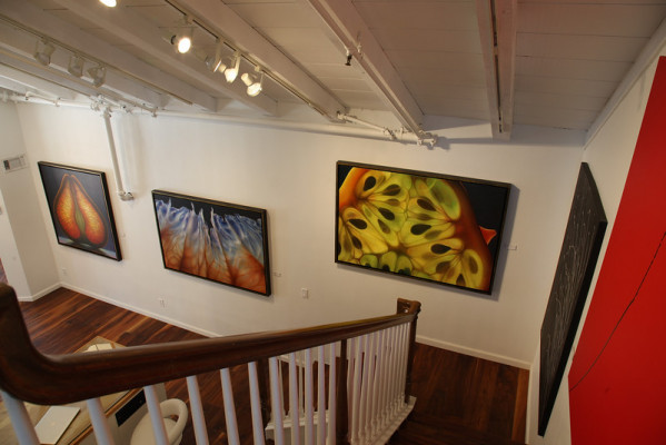 The La Jolla Gallery