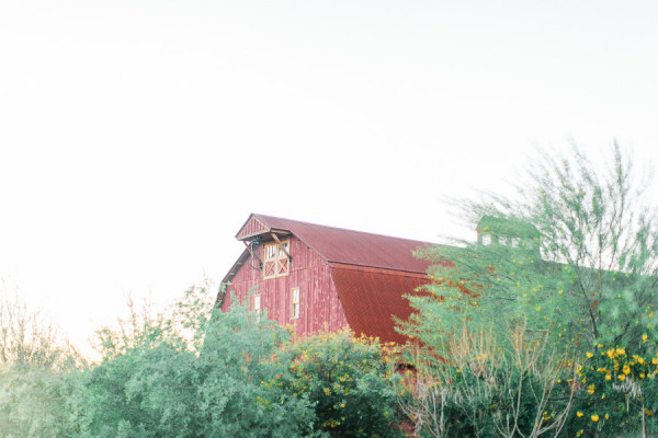 The Windmill Winery