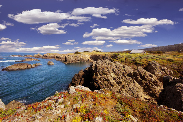 Sea Ranch Lodge