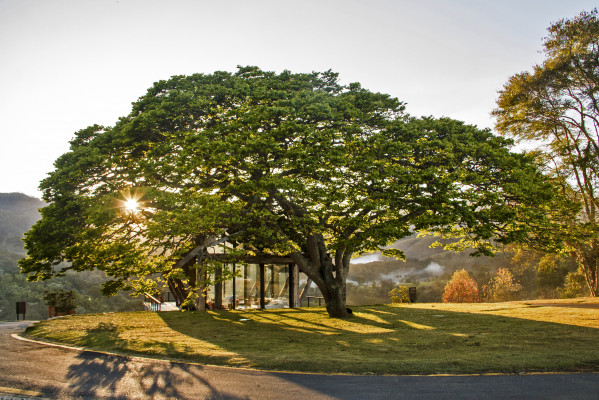 Botanique Hotel & Spa