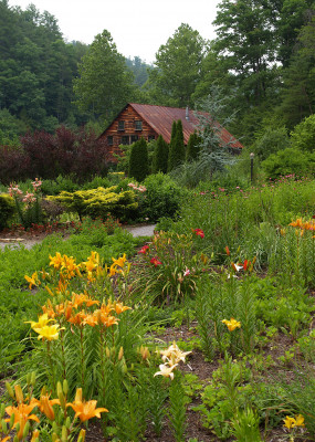 The Lily Barn