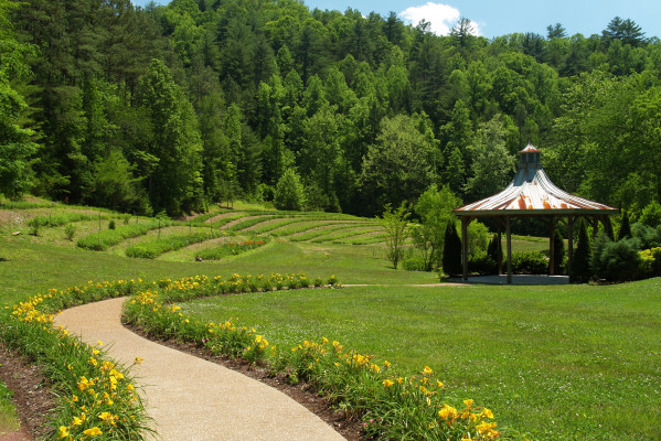 The Lily Barn