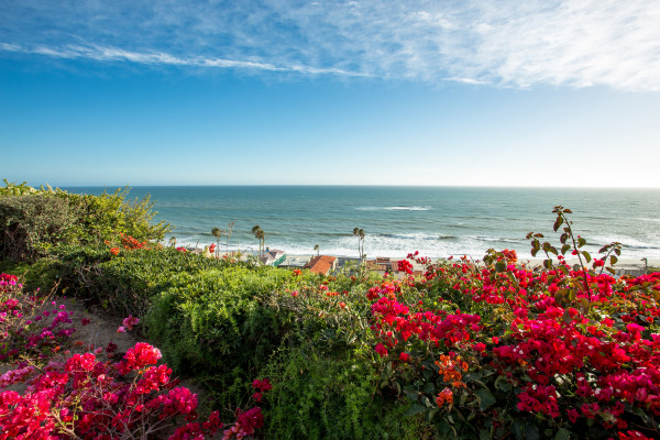 Historic Doheny House