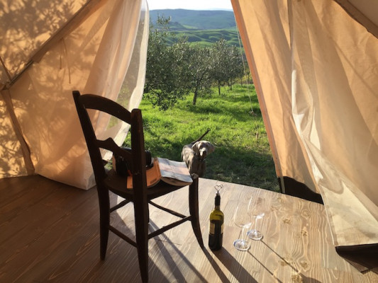 The Lazy Olive Glamping