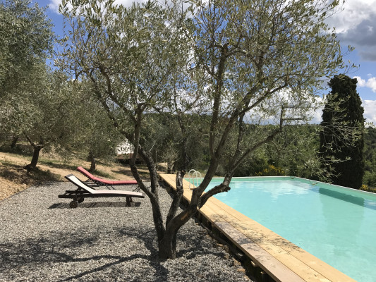 The Lazy Olive Glamping