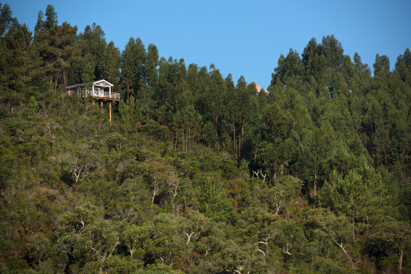 Paraíso Escondido - Living in Harmony