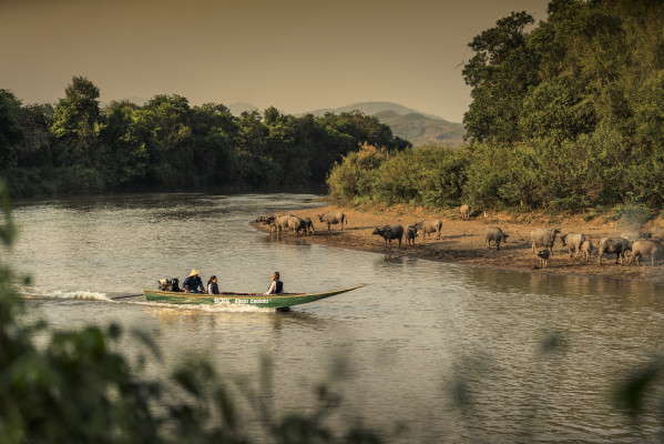 Four Seasons Tented Camp at Golden Triangle