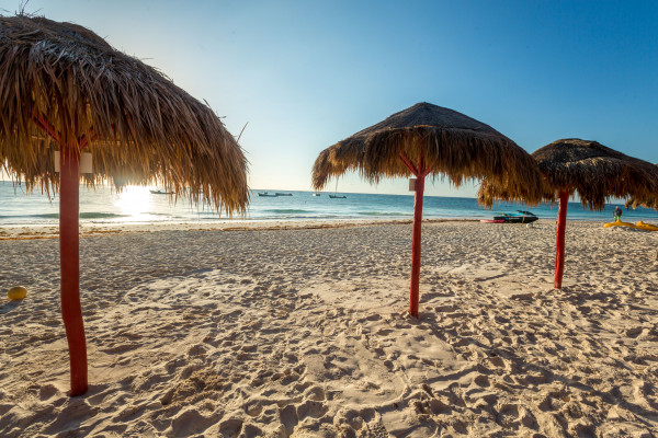 Serenity Camp Riviera Maya, Mexico