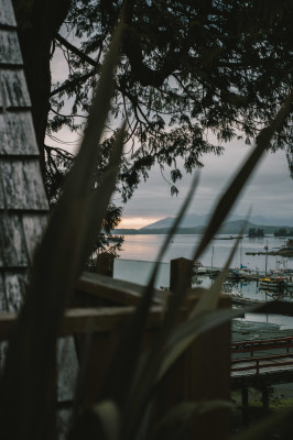 The Shoreline Tofino