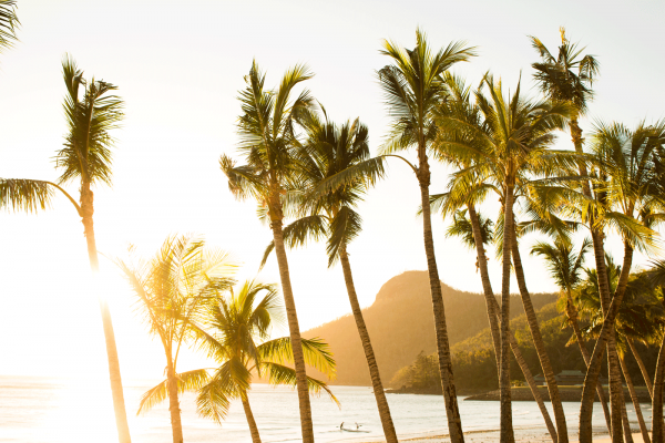 Hamilton Island Catseye Beach