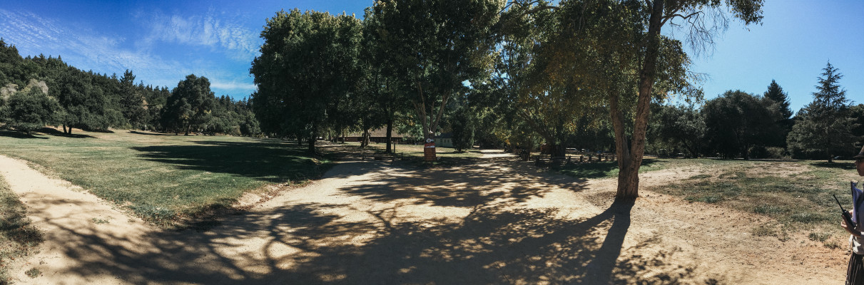 Roaring Camp