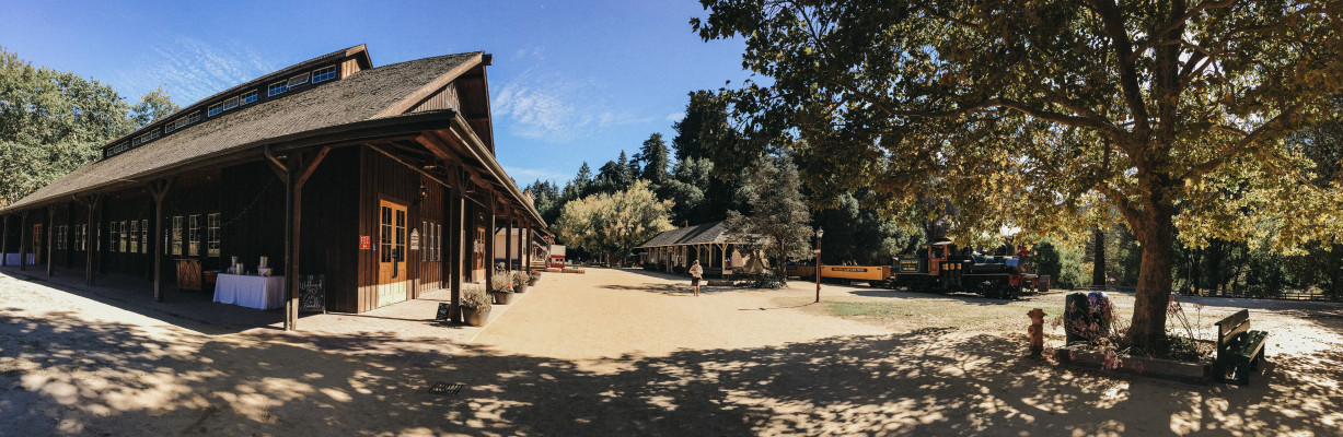 Roaring Camp