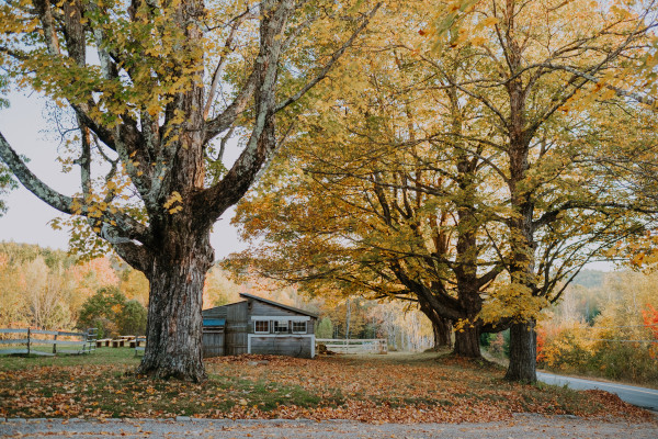 Garden Gate at Haley Farm