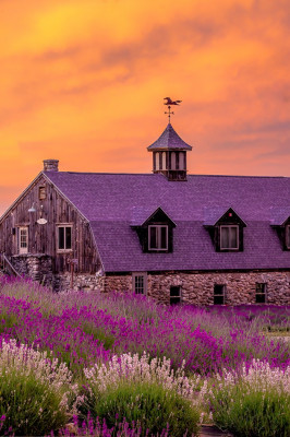 The Farm at SummitWynds