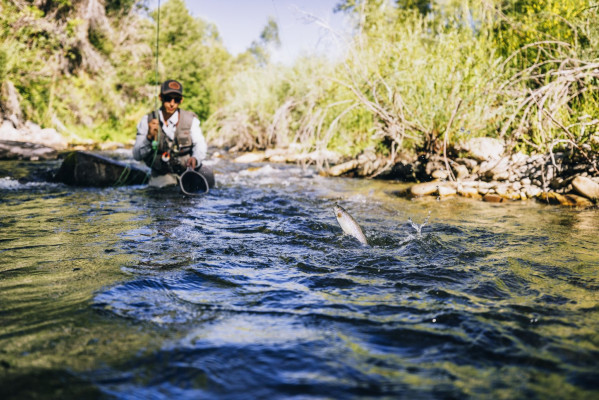 Smith Fork Ranch