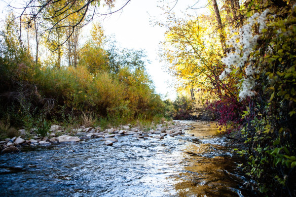 Smith Fork Ranch