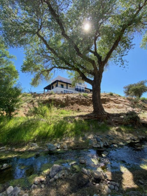 The Creekside Lodge and Cabins