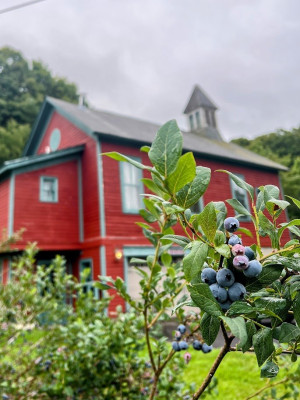 Blueberry Brook Farm Resort