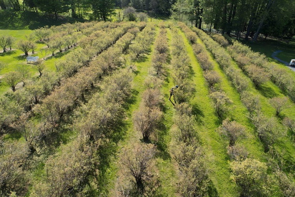 Blueberry Brook Farm Resort