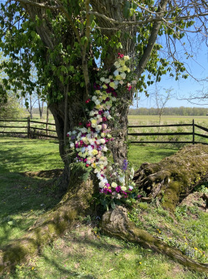 Updike Farmstead