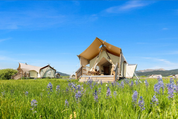 Under Canvas West Yellowstone