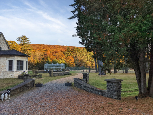 Lundy Farm