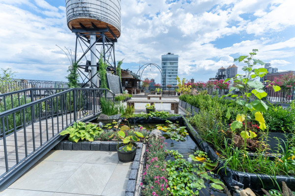 Noho Penthouse with Rooftop