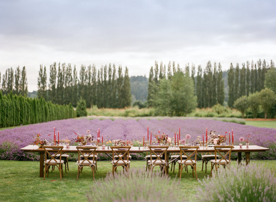 Woodinville Lavender