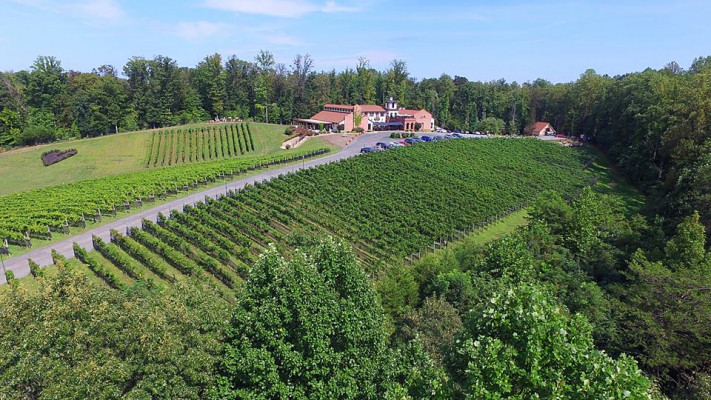 Potomac Point Winery & Vineyard