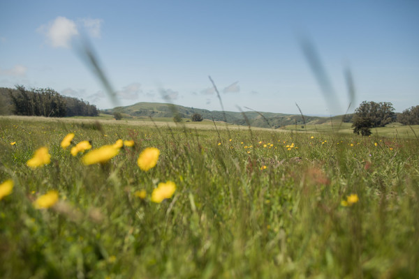 The Haven at Tomales