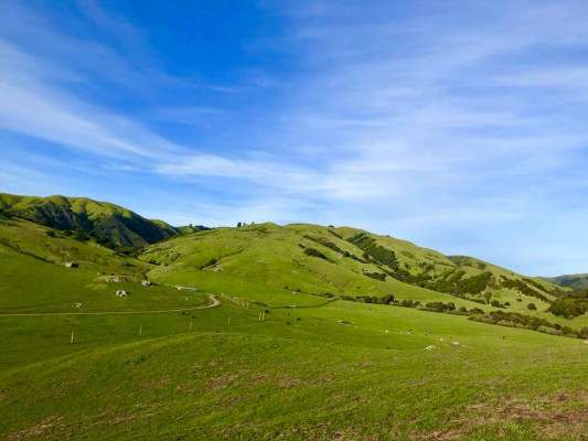 Cow Track Ranch