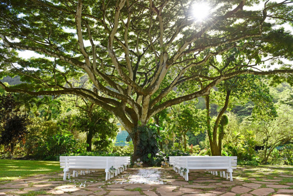 Waimea Valley