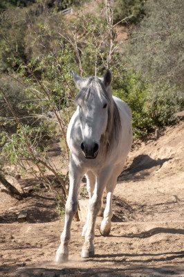 La Esperanza Ranch