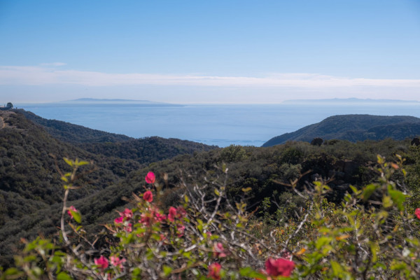 La Esperanza Ranch w/ Ocean VIew