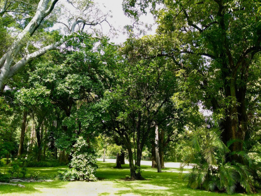 Hacienda De Teresa y Polignac