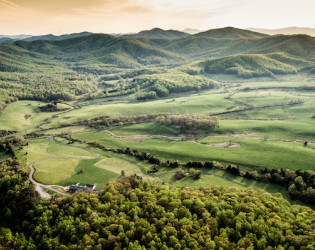 Pippin Hill Farm & Vineyards