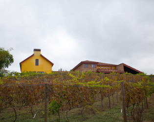 The Villa at Calasa Olive Farm