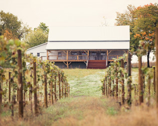 Hidden Vineyard Wedding Barn