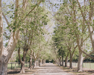 Whispering Rose Ranch