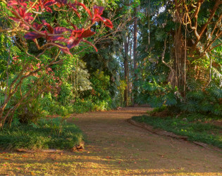 Sunset Ranch Hawaii